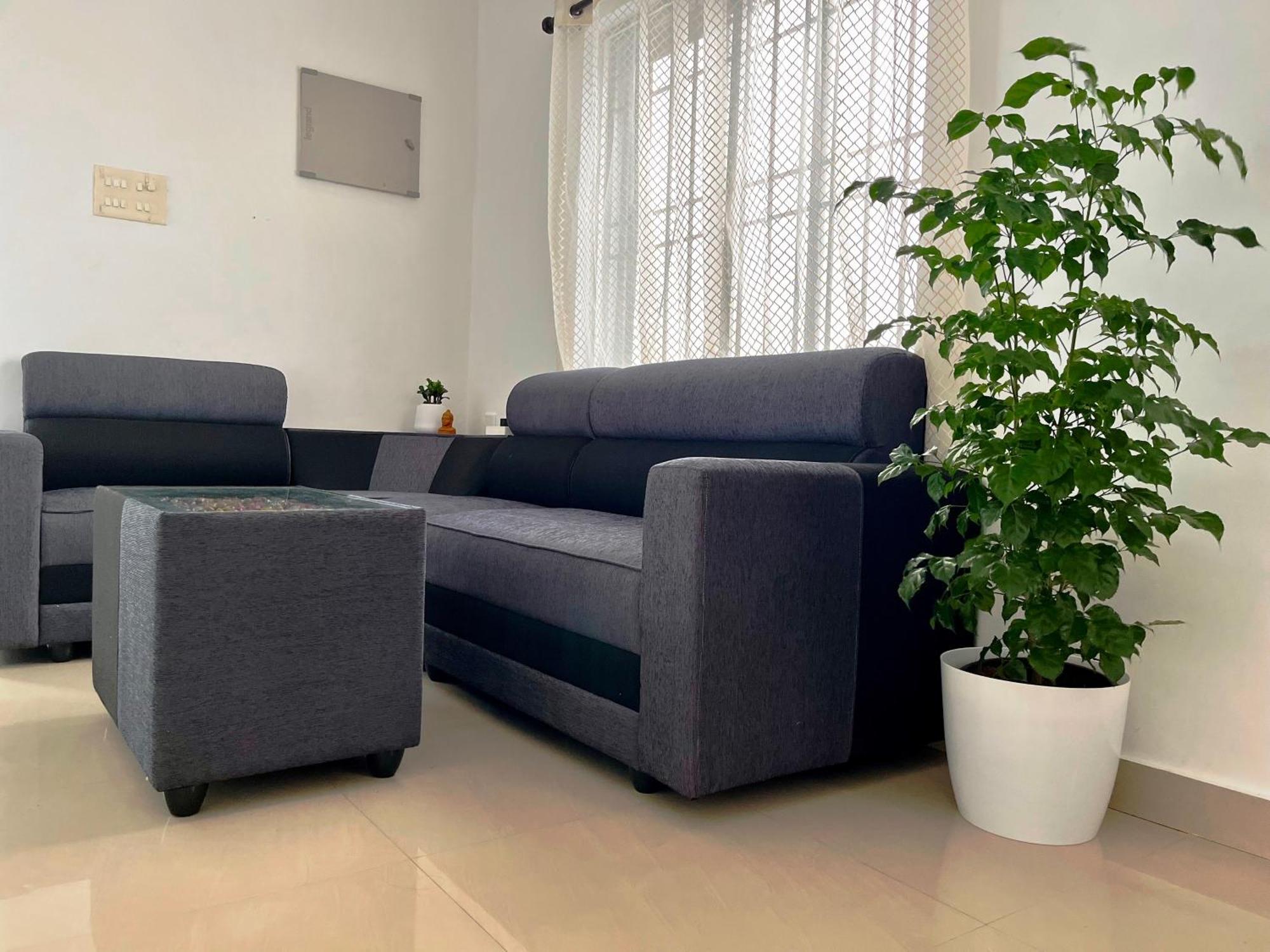 Segundo Home Kochi Bagian luar foto